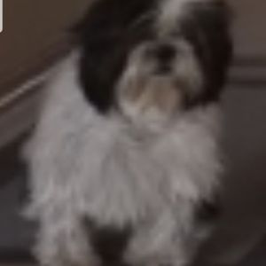 Meet your Posher, Mikayla